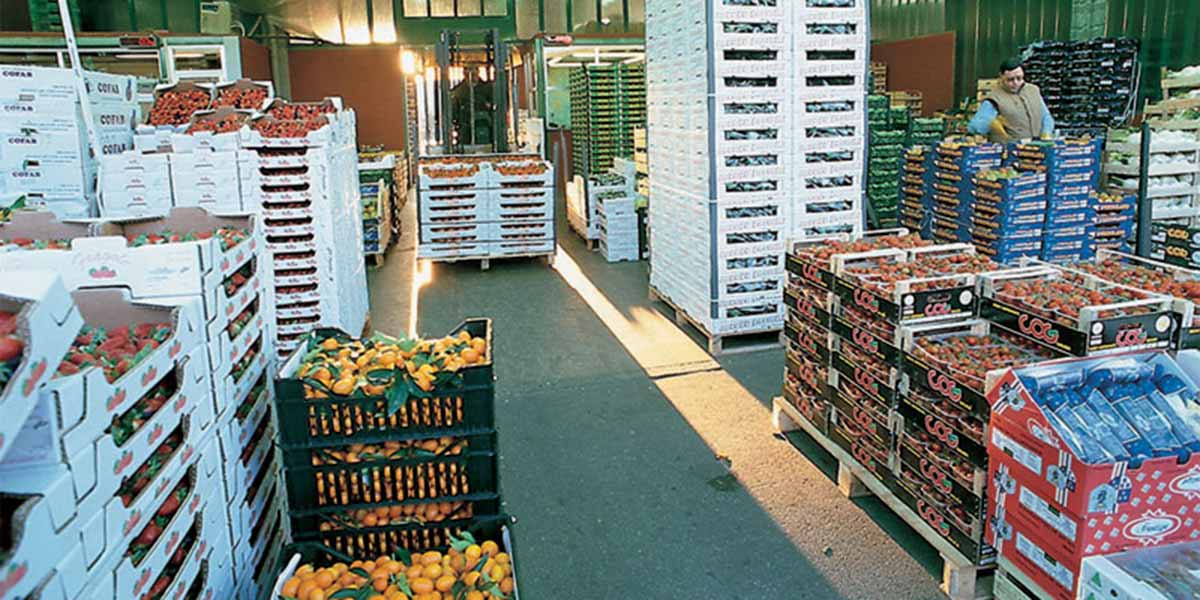 Arance tarocco e fragole premiate dal mercato